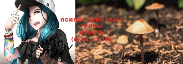 apvp Алексин