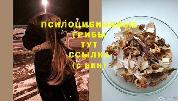 apvp Алексин